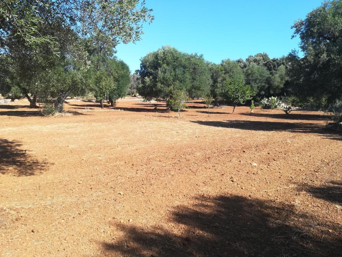 Trullo Alessandro E Villa Raffaela San Vito dei Normanni Kültér fotó