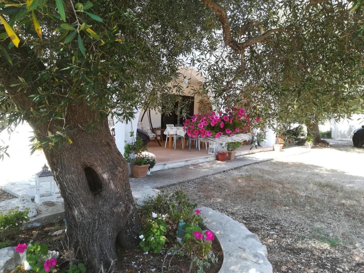 Trullo Alessandro E Villa Raffaela San Vito dei Normanni Kültér fotó
