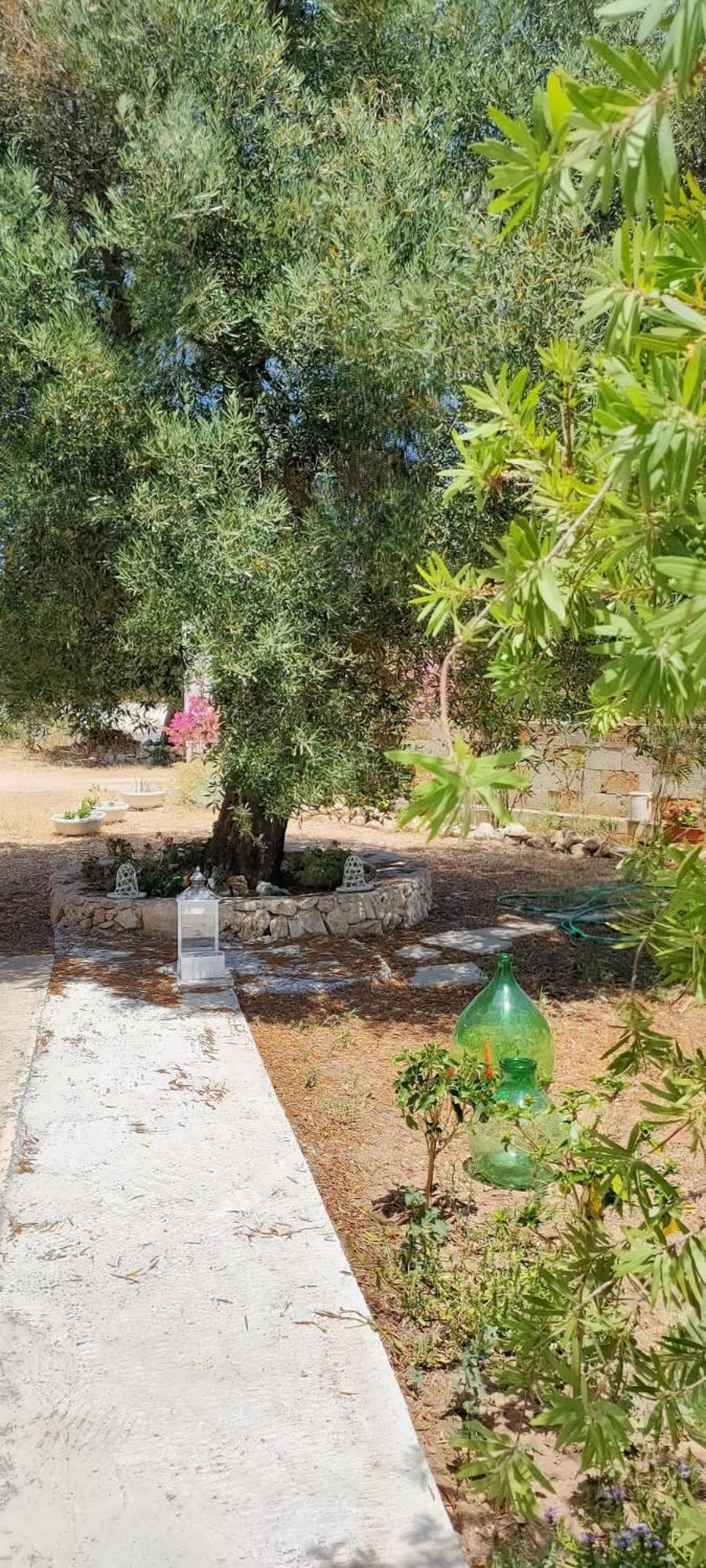 Trullo Alessandro E Villa Raffaela San Vito dei Normanni Szoba fotó