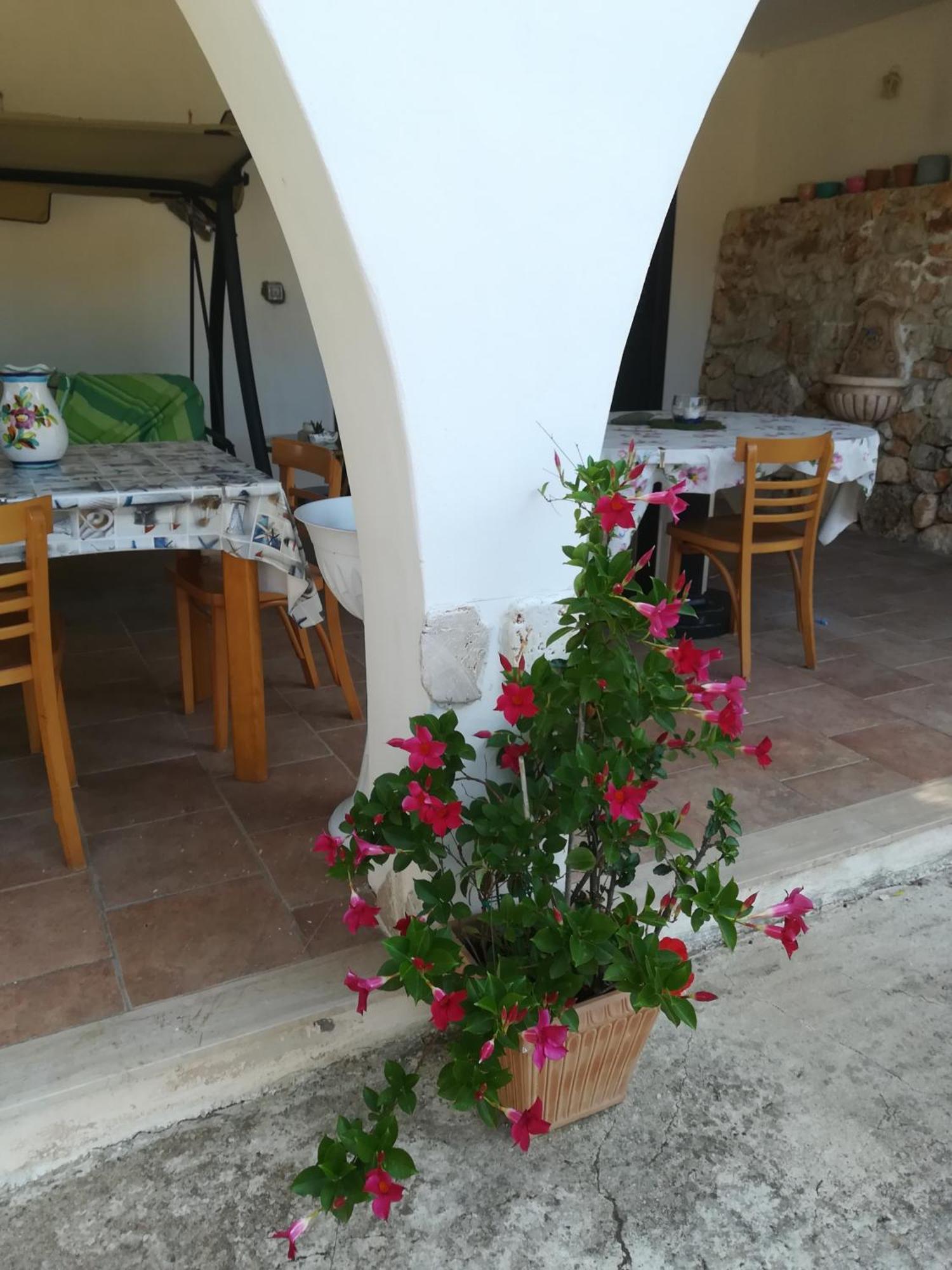 Trullo Alessandro E Villa Raffaela San Vito dei Normanni Szoba fotó