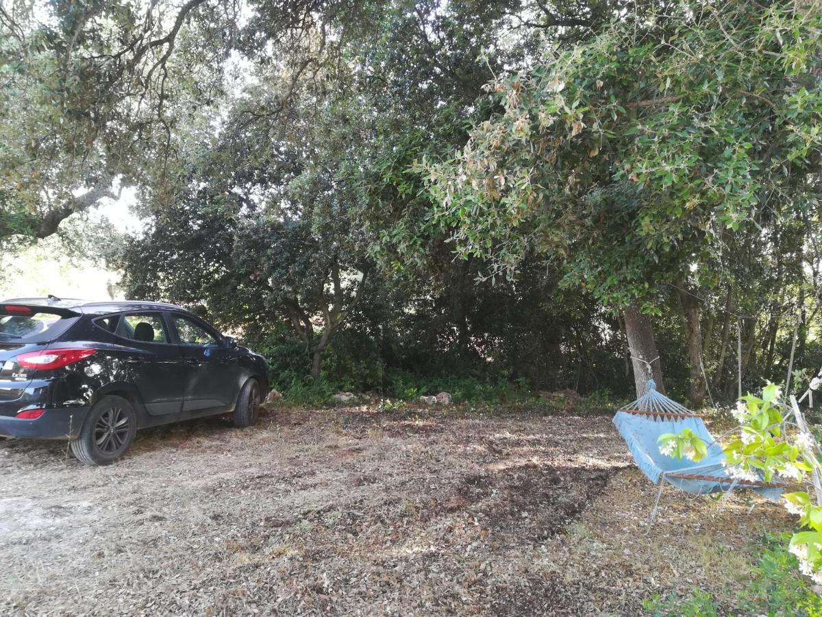 Trullo Alessandro E Villa Raffaela San Vito dei Normanni Kültér fotó